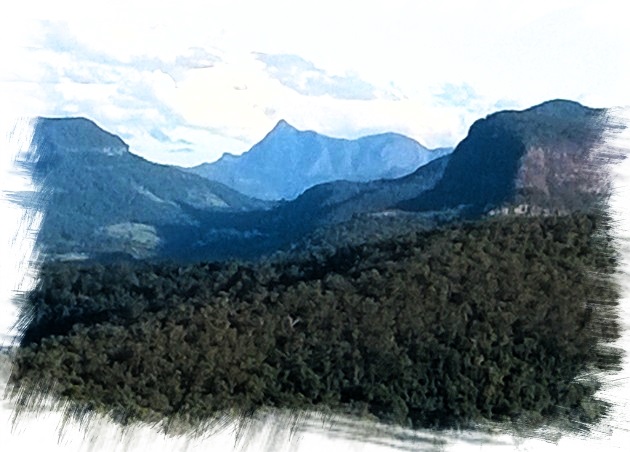 Mt Warning